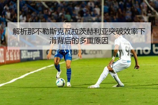 jie-xi-na-bu-le-si-ke-wa-la-ci-he-li-ya-tu-po-xiao-lv-xia-hua-bei-hou-de-duo-zhong-yuan-yin-2-406.jpg